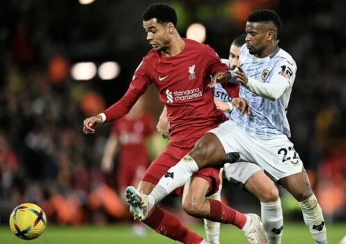 cody gakpo battling for the ball liverpool v wolves